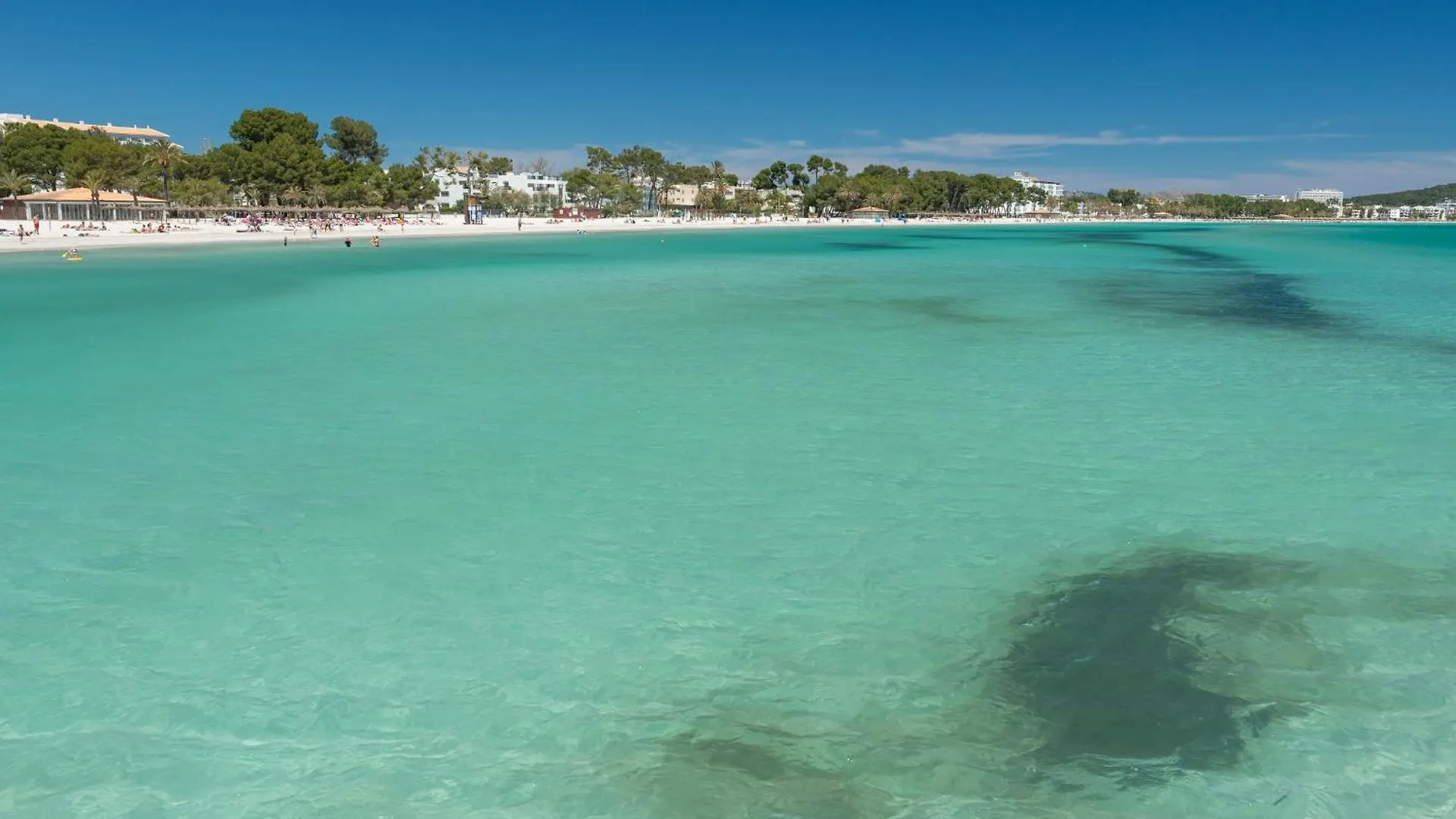 Cas Caminer Villa Alcudia  Spain